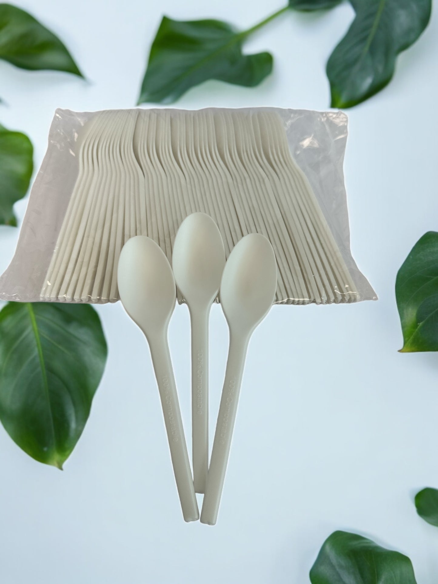 Biodegradable Soup Spoons