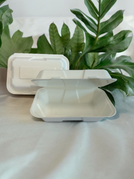 Hinged Hoagie Container