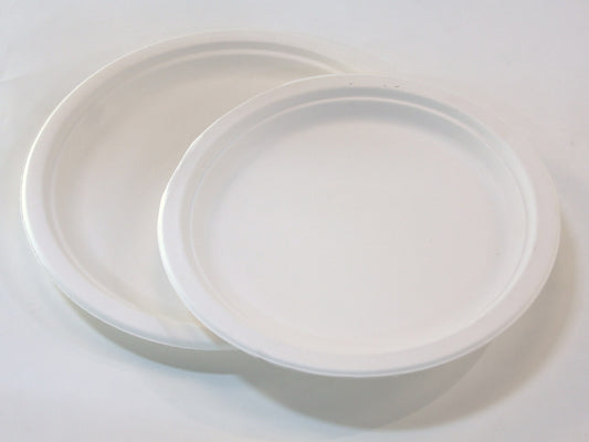 6" Paper Plates